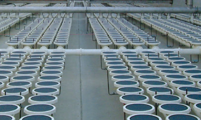 Fine Bubble Aeration Grid Gulf States Engineering Fine Bubble Aeration Grid Gulf States Engineering